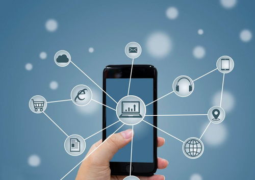 廢舊物資搭上互聯(lián)網(wǎng)快車，搖變“香餑餑”